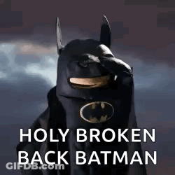Dog In Batman Costume Holy Broken Back Batman GIF