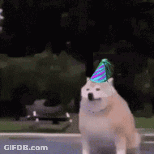 Dog In Birthday Hat Walking GIF