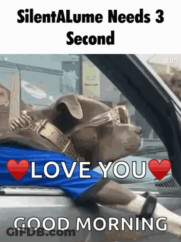 Dog In Blue Shirt Sunglasses Saying Love You Good Morning GIF