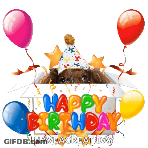 Dog In Box With Party Hat And Balloons Happy Birthday Have A Great Day GIF