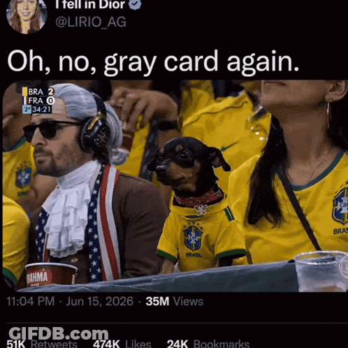 Dog In Brazil Shirt Next To Man In Wig GIF