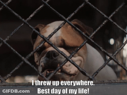 Dog In Cage Saying I Threw Up Everywhere Best Day Of My Life GIF