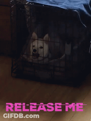 Dog In Cage Saying Release Me GIF