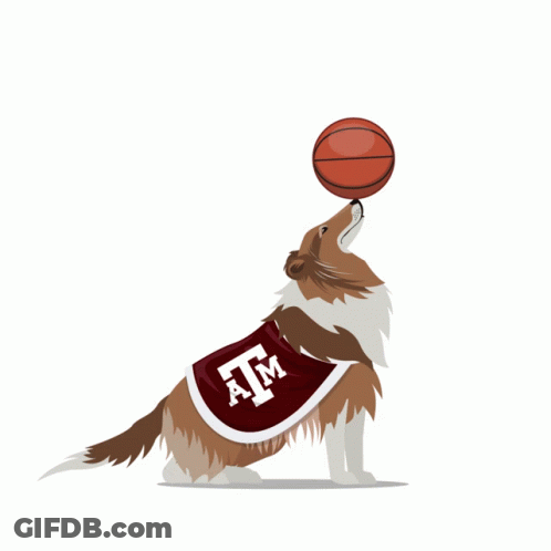 Dog In Cape Saying ATM Balancing Basketball On Nose GIF