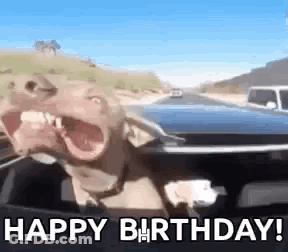 Dog In Car Saying Happy Birthday GIF