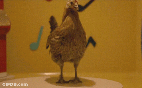 Dog In Chicken Costume Lying On Couch GIF