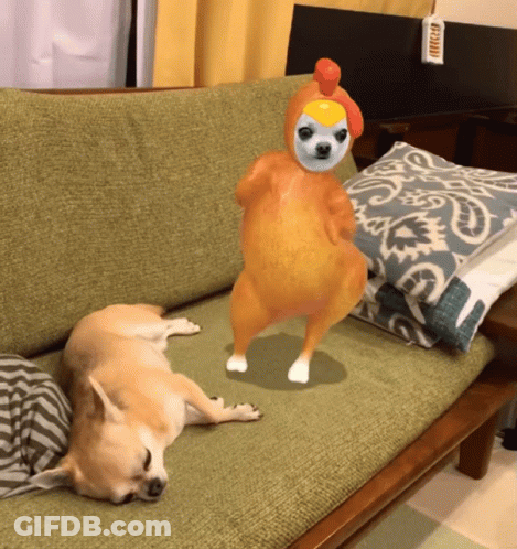 Dog In Chicken Costume Lying On Couch GIF