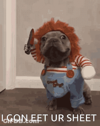 Dog In Chucky Costume Holding Knife Saying I Goneet Ur Sheet GIF