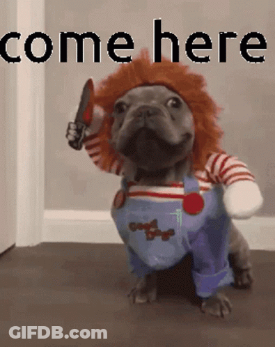 Dog In Chucky Costume Holding Knife Says Come Here GIF