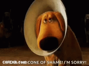 Dog In Cone Of Shame Saying I'm Sorry GIF