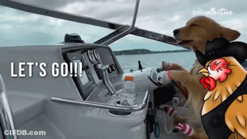 Dog In Cowboy Hat Driving Boat Saying Let's Go GIF