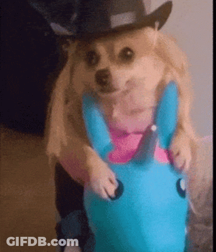 Dog In Cowboy Hat Riding Blue Unicorn Toy GIF