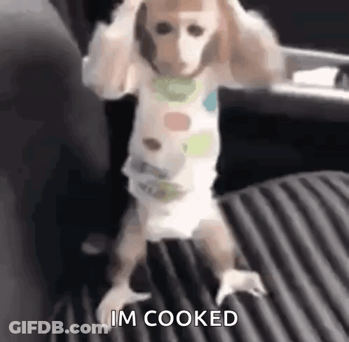 Dog In Diaper Standing Says I'm Cooked GIF