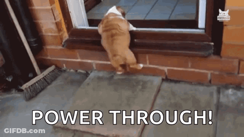 Dog In Doorway Power Through GIF
