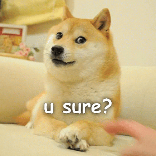 Dog In Doubt You Sure GIF