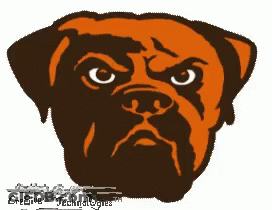 Dog In Football Helmet Saying Creative Technologies GIF