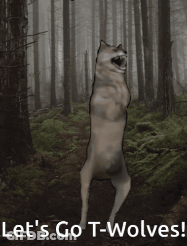 Dog In Forest Saying Lets Go T-Wolves GIF
