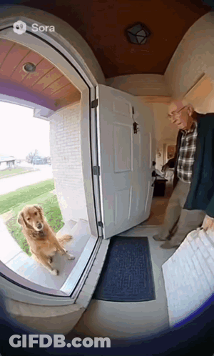 Dog In Front Of Door Saying Sora GIF