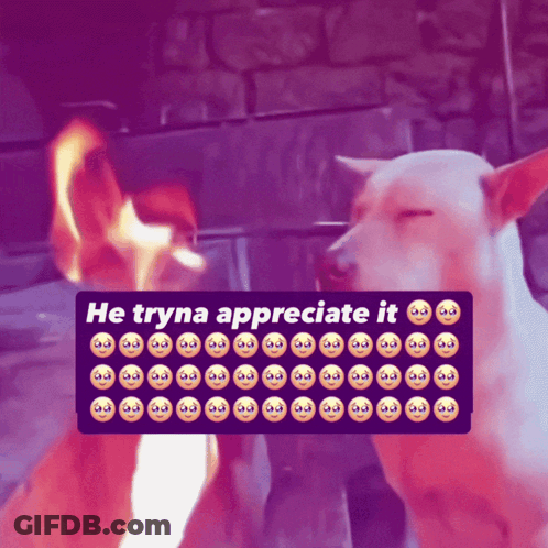 Dog In Front Of Fireplace Saying He Tryna Appreciate It GIF