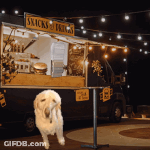 Dog In Front Of Snacks And Drinks Food Truck GIF