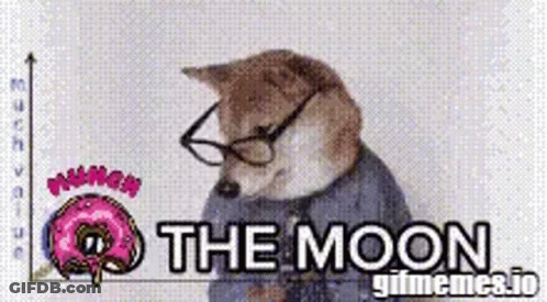 Dog In Glasses And Sweater With The Moon GIF