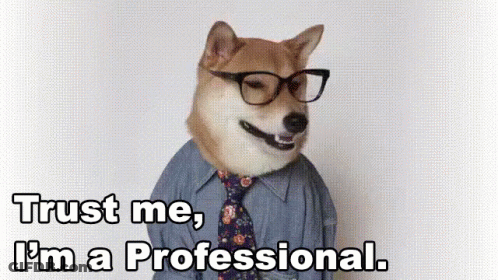 Dog In Glasses And Tie Saying Trust Me I'm A Professional GIF