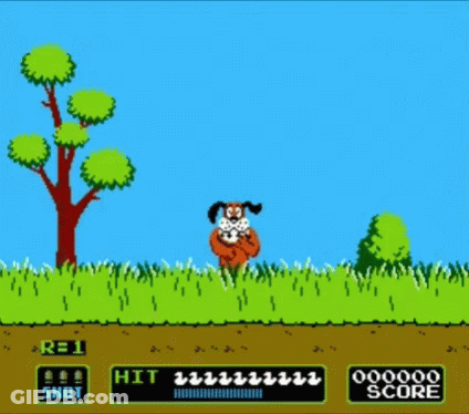 Dog In Grass And Tree GIF