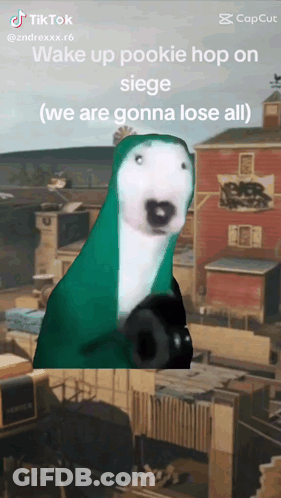 Dog In Green Hoodie Holding Gun GIF