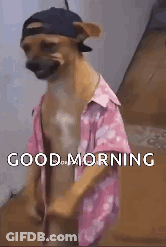 Dog In Hat And Pink Shirt Saying Good Morning GIF