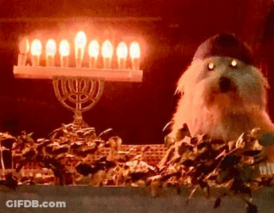 Dog In Hat Sitting Before Lit Menorah GIF