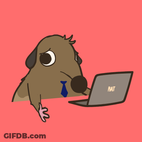 Dog In Headphones And Hat Laptop Says Pat GIF