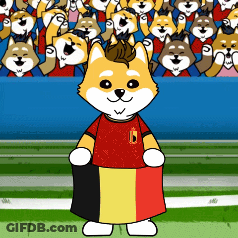 Dog In Jersey With Letter B Holding Flag GIF
