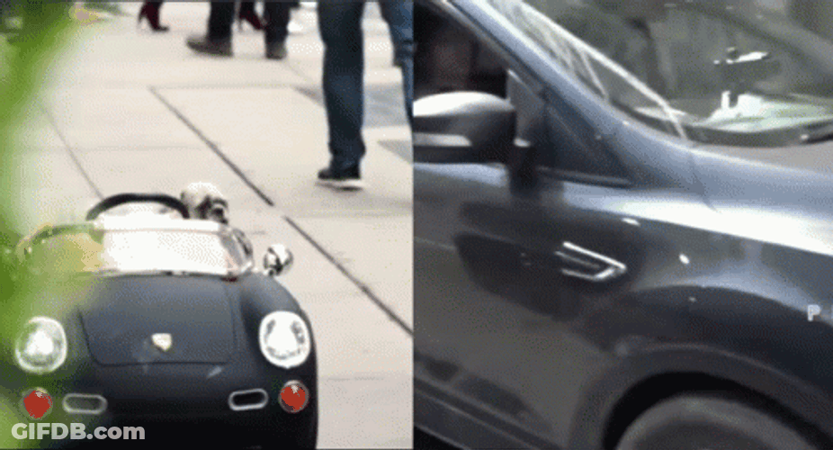 Dog In Kid Car Almost Crash GIF