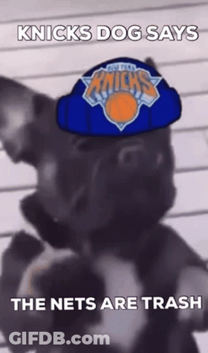 Dog In Knicks Logo Hat GIF