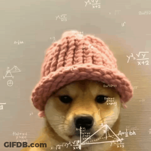 Dog In Knitted Hat Surrounded By Math Equations GIF