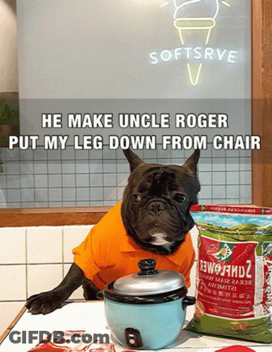 Dog In Orange Shirt Sitting Next To Tomatoes GIF