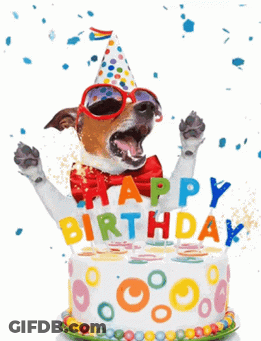Dog In Party Hat And Sunglasses Saying Happy Birthday GIF