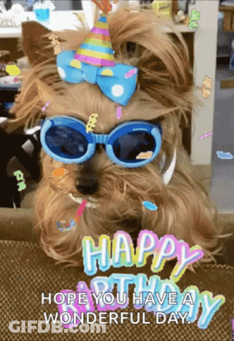 Dog In Party Hat And Sunglasses Says Happy Birthday GIF