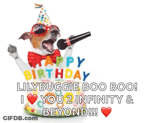 Dog In Party Hat And Sunglasses Singing Happy Birthday Lilybuggie Boo Boo GIF