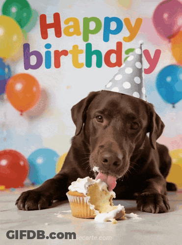 Dog In Party Hat Eating Birthday Cupcake GIF