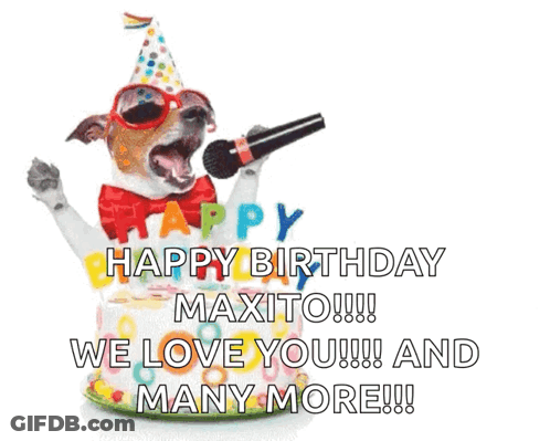 Dog In Party Hat Sunglasses Singing Into Mic GIF