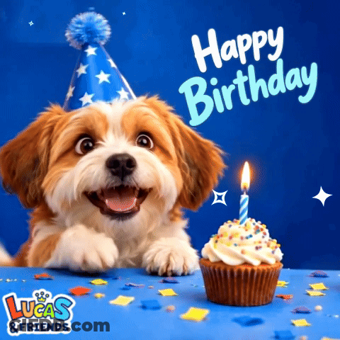 Dog In Party Hat With Cupcake GIF