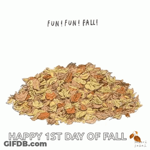 Dog In Pile Of Leaves Fun Fun Fall GIF