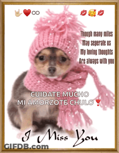 Dog In Pink Hat And Scarf Saying I Miss You GIF