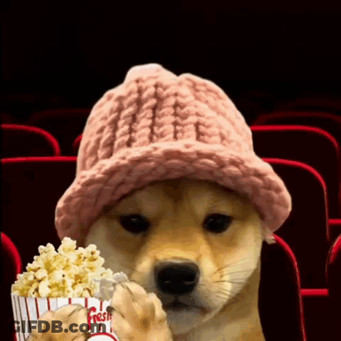 Dog In Pink Hat Holding Popcorn GIF