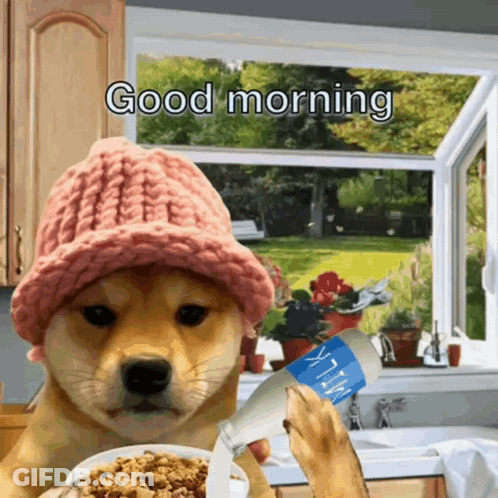 Dog In Pink Hat Pouring Milk Into Cereal GIF