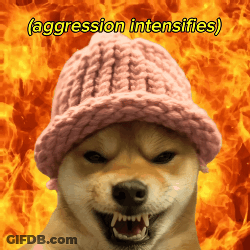 Dog In Pink Hat Saying Aggression Intensifies GIF