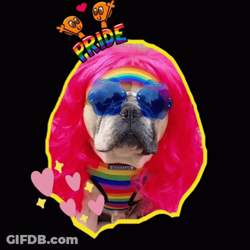 Dog In Pink Wig And Sunglasses Saying Pride GIF