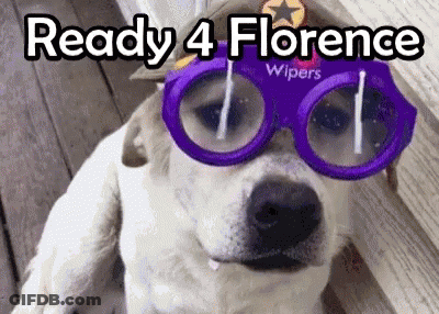 Dog In Purple Glasses And Hat Saying Ready 4 Florence GIF