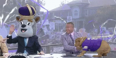 Dog In Purple Shirt And Crown Interviewed By Man In Suit GIF